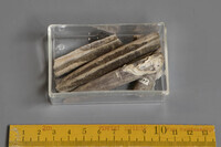 F 04498
<br/>
<br/>
<em></em>